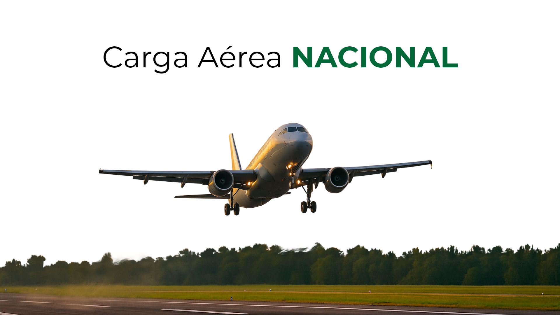 Carga aérea nacional